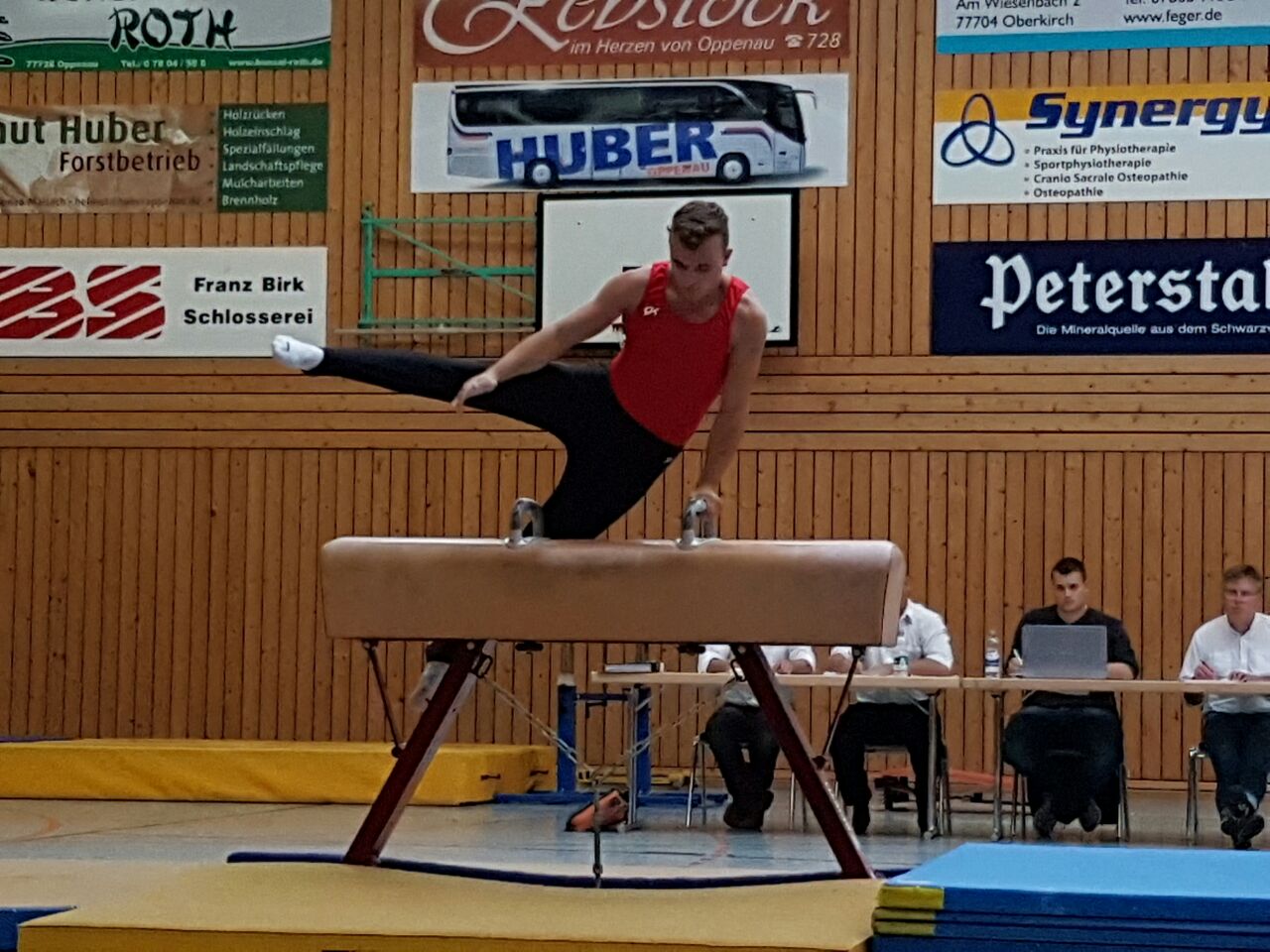 20171021_Steffen_Braun_Seitpferd.jpg